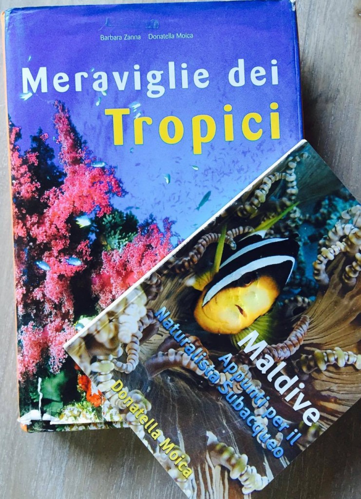 Meraviglie dei tropici