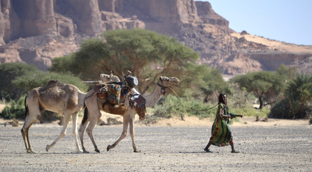 Nomadi Tchad