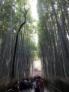 Arashiyama